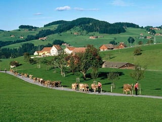 Appenzell, Switzerland 