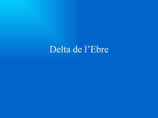 Delta de l’Ebre 