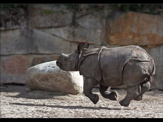  FOTOS DIFERENTES (Con música)
