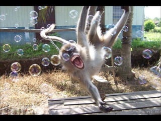  FOTOS DIFERENTES (Con música)