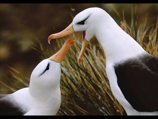  FOTOS DIFERENTES (Con música)