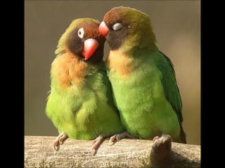  FOTOS DIFERENTES (Con música)