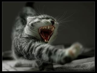  FOTOS DIFERENTES (Con música)