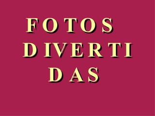 FOTOS  DIVERTIDAS 