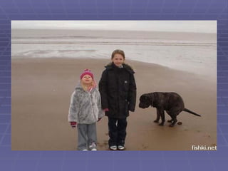 Fotos  -einer_versauts_immer