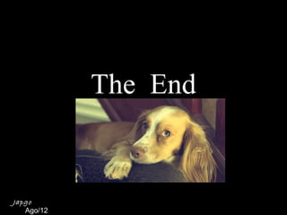 The End


Japgo
   Ago/12
 