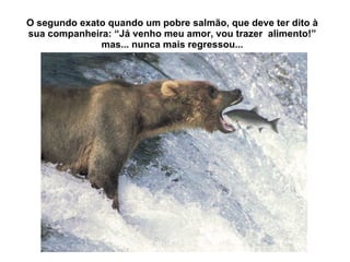 O segundo exato quando um pobre salm ão, que deve ter dito à sua companheira: “Já venho meu amor, vou trazer  alimento!” mas... nunca mais regressou... 
