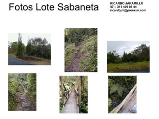 Fotos Lote Sabaneta RICARDO JARAMILLO 57 – 315 499 03 44 [email_address] 