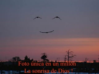 Foto única en un millón
La sonrisa de Dios !
 