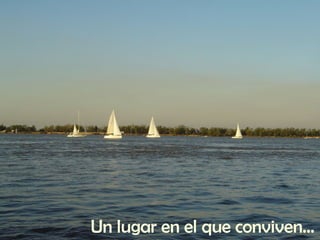 Un lugar en el que conviven… 