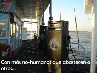 Con más no-humanos que abastecen a otros… 