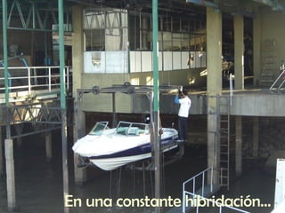 En una constante hibridación… 