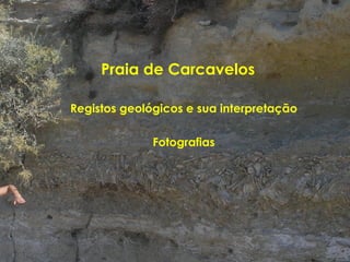 Praia de Carcavelos Registos geológicos e sua interpretação Fotografias 