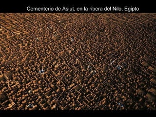 Cementerio de Asiut, en la ribera del Nilo, Egipto
 