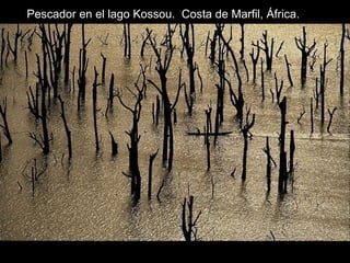 Pescador en el lago Kossou. Costa de Marfil, África.
 