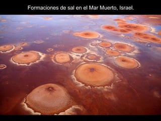 Formaciones de sal en el Mar Muerto, Israel.
 