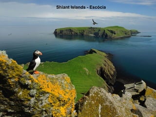Shiant Islands - Escócia 