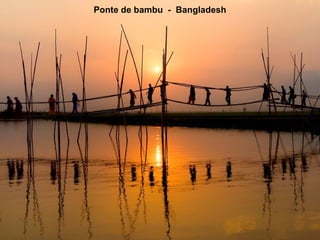 Ponte de bambu  -  Bangladesh 