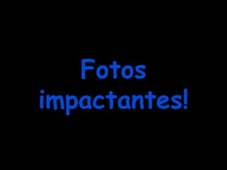 Fotos
impactantes!

 