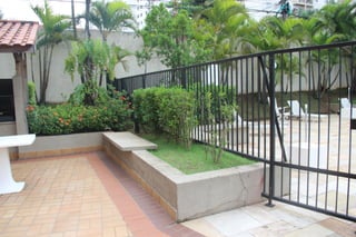 Fotos 31 janeiro 2015