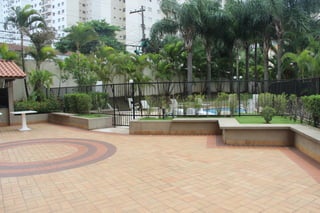 Fotos 31 janeiro 2015