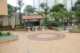 Fotos 31 janeiro 2015