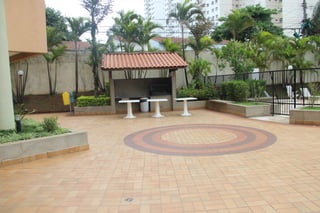 Fotos 31 janeiro 2015