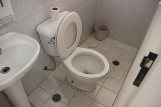 Fotos 31 janeiro 2015