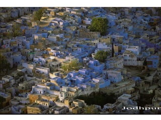 Jodhpur  
