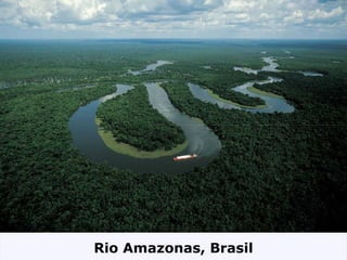 Rio Amazonas, Brasil
 