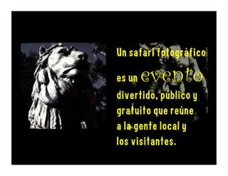 Photo Safaris
are fun, free
public
events
that brings
together locals
and visitors.
 