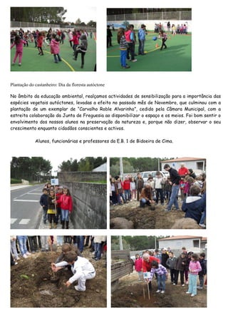 Plantação do castanheiro: Dia da floresta autóctone

No âmbito da educação ambiental, realçamos actividades de sensibilização para a importância das
espécies vegetais autóctones, levadas a efeito no passado mês de Novembro, que culminou com a
plantação de um exemplar de “Carvalho Roble Alvarinho”, cedido pela Câmara Municipal, com a
estreita colaboração da Junta de Freguesia ao disponibilizar o espaço e os meios. Foi bom sentir o
envolvimento dos nossos alunos na preservação da natureza e, porque não dizer, observar o seu
crescimento enquanto cidadãos conscientes e activos.

             Alunos, funcionárias e professores da E.B. 1 de Bidoeira de Cima.
 