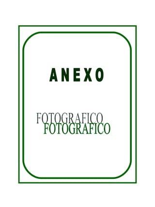 A N E X O FOTOGRAFICO 