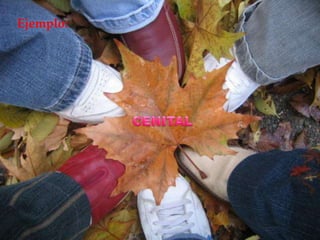 Ejemplo:PLANO INCLINADO