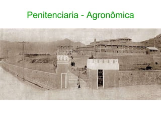 Penitenciaria - Agronômica 