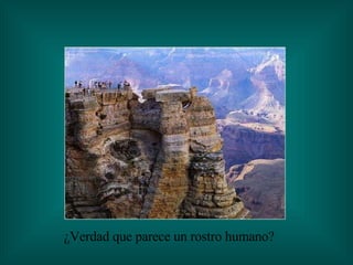 ¿Verdad que parece un rostro humano? 