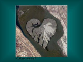 Curioso, ¿verdad? 