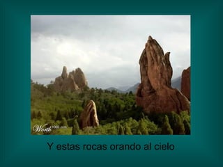 Y estas rocas orando al cielo 