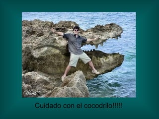 Cuidado con el cocodrilo!!!!! 