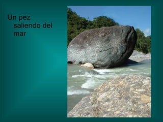 Un pez saliendo del mar 