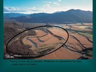 Parece el rosto de un hombre. Podemos ver claramente los ojos, nariz, boca y la barba… 