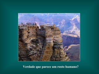 Verdade que parece um rosto humano? 