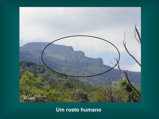 Um rosto humano   
