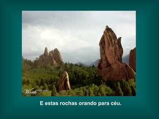 E estas rochas orando para céu. 