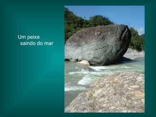 Um peixe  saindo do mar 