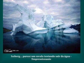 Iceberg… parece um cavalo tentando sair da água - Impressionante! 