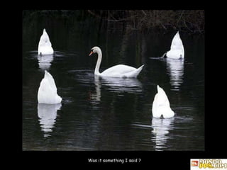 Was it something I said ? 