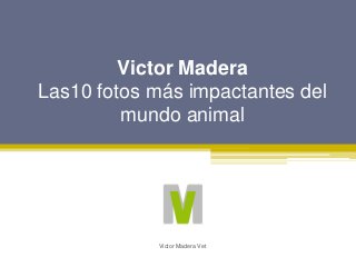 Victor Madera
Las10 fotos más impactantes del
mundo animal
Victor Madera Vet
 