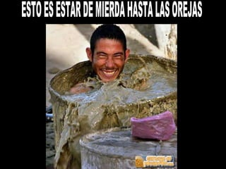 ESTO ES ESTAR DE MIERDA HASTA LAS OREJAS 