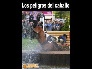 Los peligros del caballo 